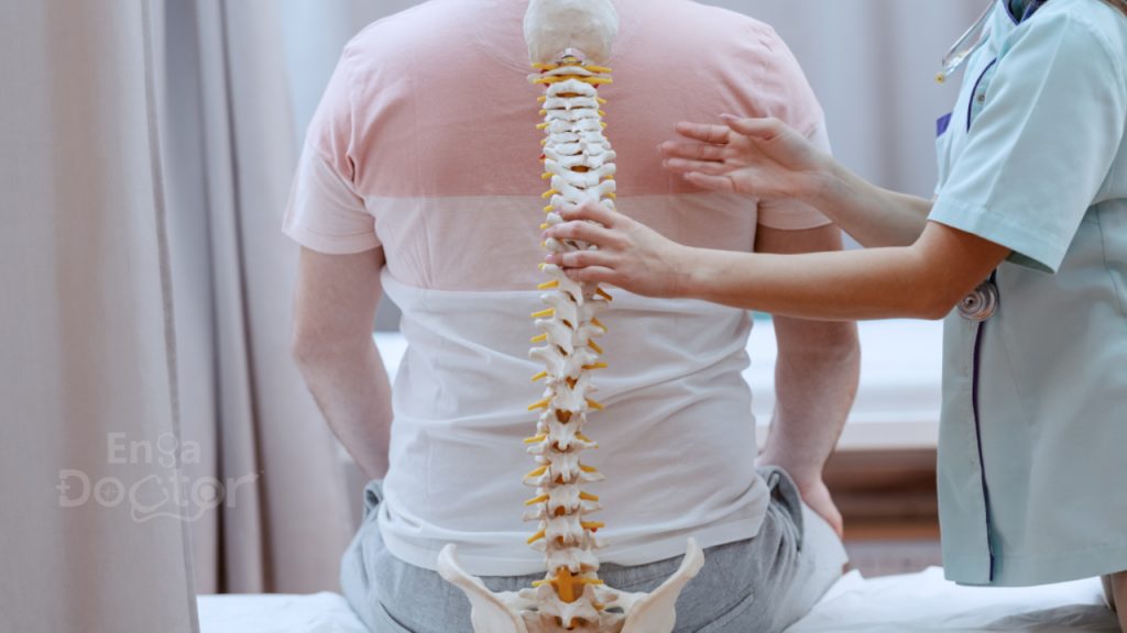 best orthopedic doctor online for back pain