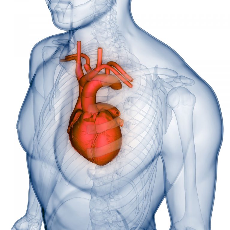 http://engadoctor.com/doctor/specialty/Cardiology